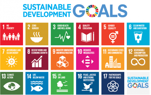 SDG